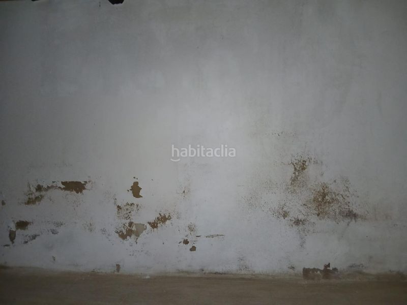 Foto f4b308ce-733f-4a22-be37-0bcd8b7c42ed. Pis a Roda de Barà