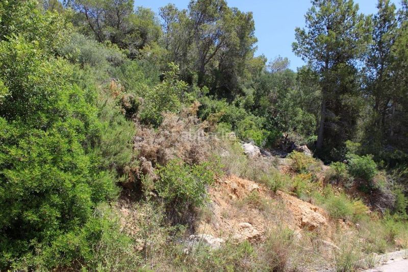 Foto c36bd616-6e3d-46f3-a846-0d9611309b37. Terreny residencial a Roda de Barà