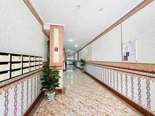 Apartament  Calle de san antonio. Apartamento con terraza y garaje cerrado en la mata, torrevieja