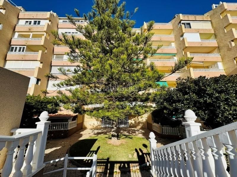 Foto 990524f6-5e09-4490-8a47-f3922dc1b21c. Àtic amb aparcament piscina a Cañada del Molino Torrevieja