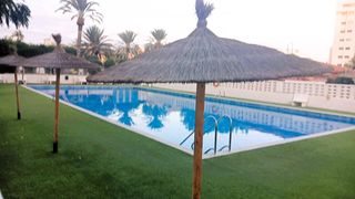 Lloguer Apartament a PAU 5. Playa muchavista el campello