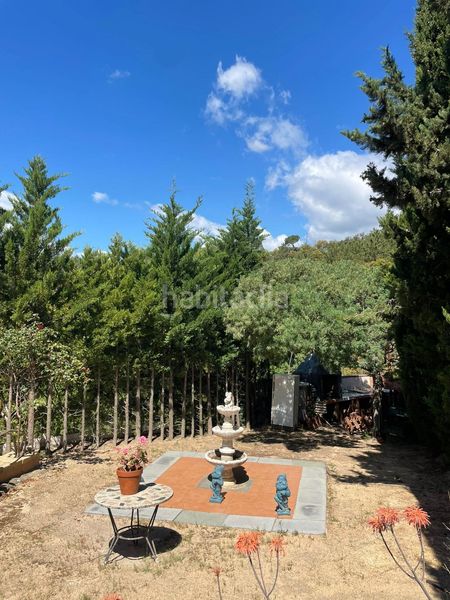 Foto 2ede0a13-d75f-48b5-84da-2c83e54f1e3f. Casa amb aparcament a Massanes