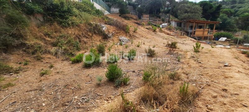 Foto 45a94ceb-986f-46ae-a703-f6596e491628. Terreny residencial a terrabrava - Tordera parc Tordera