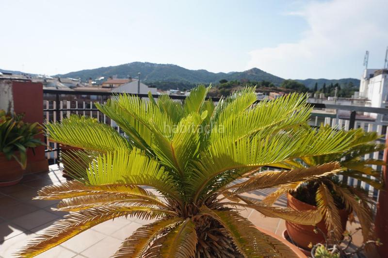 Foto 71b7db1b-5022-43d3-b41f-c5efe8fdead5. Penthouse with heating in Centre Pineda de Mar