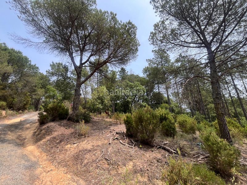 Foto cb0ed974-b6ba-4b2d-b12e-6c32dfd55c14. Masia amb aparcament a Niàgara Parc -Àgora Parc Tordera