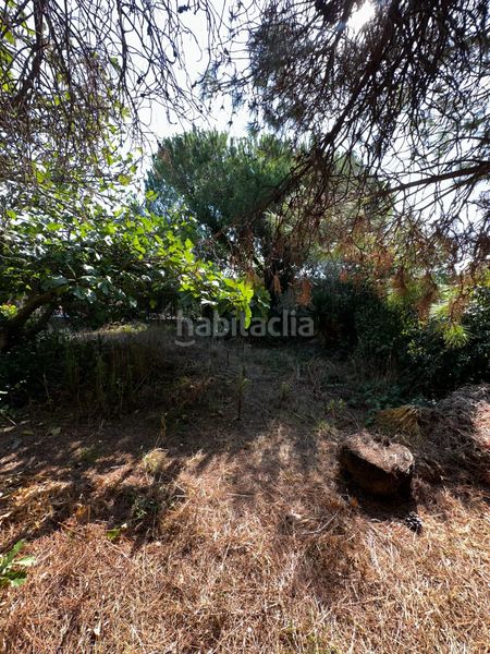Foto bc8b3edd-3697-4dfd-9f47-1ea593cd840e. Chalet encantadora finca muy bien ubicada.con muchas posibilidades, 2viviendas parcela plana... en Tordera