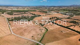 Rural plot in Vilafranca de Bonany. Parcela edificable con proyecto y licencia de obra en villafranc