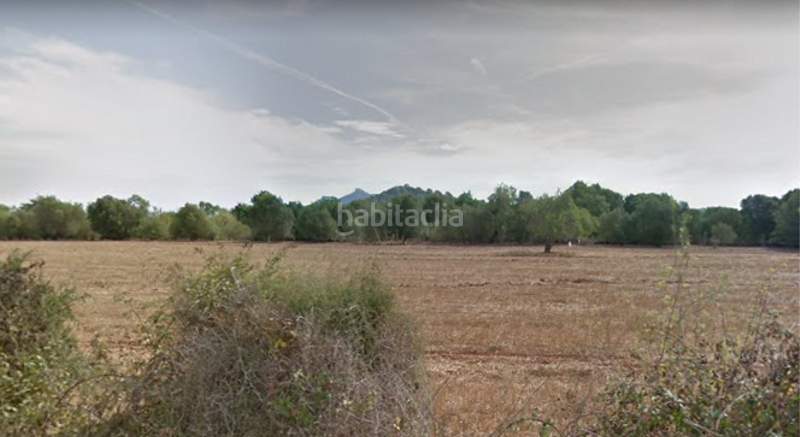 Foto 35caba68-194a-4db5-bc51-ceec19cdaa76. Landgut in Felanitx poble Felanitx