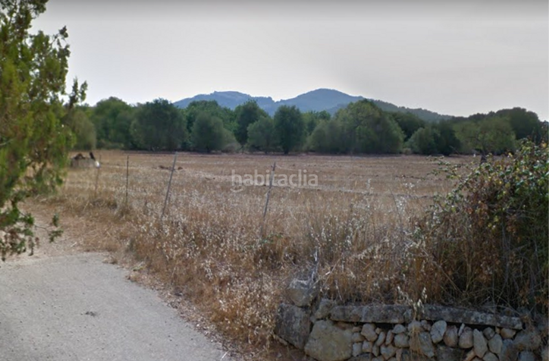 Foto b14b68bf-7e14-4db6-aa03-a375c49189dc. Landgut in Felanitx poble Felanitx