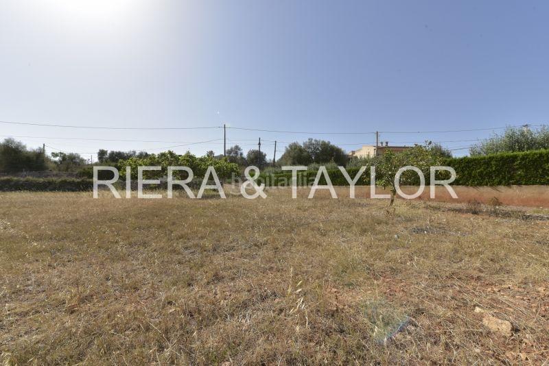 Foto e5d6d401-de21-488f-b5b7-409b1ccfe99b. Bauernhof in S´Horta - Cas Concos des Cavaller - Es Carritxó Felanitx