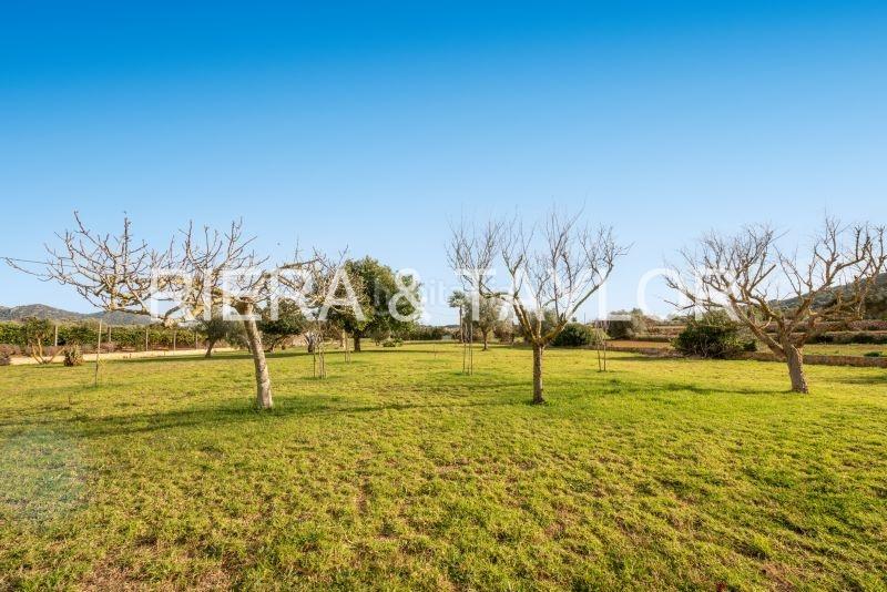 Foto 1c1a6ea8-9b16-41a8-906d-7f5d1d0c4f32. Bauernhof in Son Servera poble Son Servera