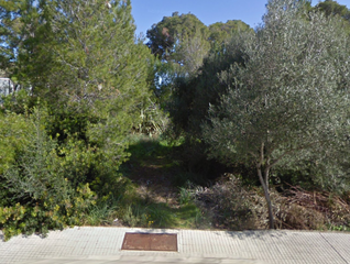 Finca rústica a Cala Millor. Solar urbano edificable en cala millor