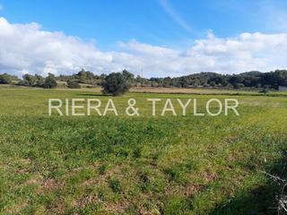 Finca rústica a Manacor Centre. Se vende terreno edificable en manacor