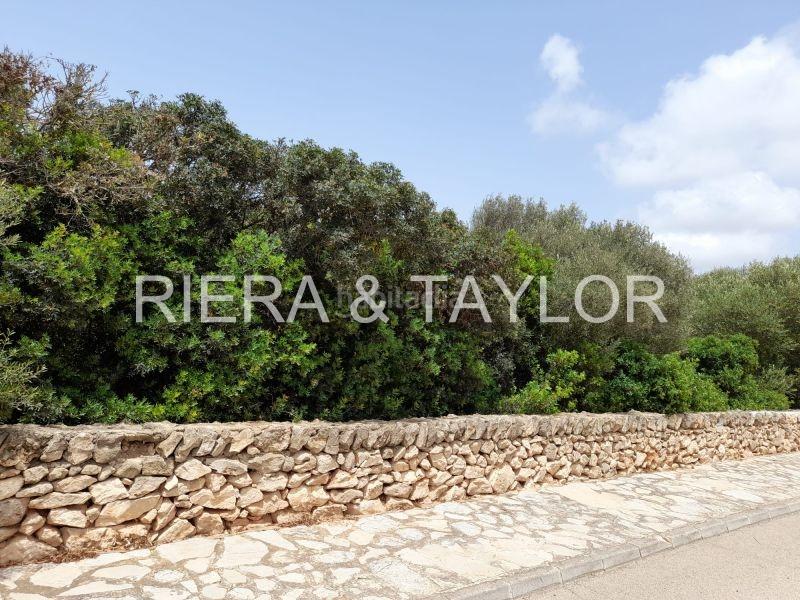Foto d6b02a59-ce7d-4727-b411-4cf59482ad99. Finca rústica a Llucmajor interior Llucmajor