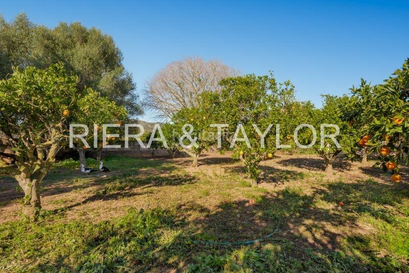 Foto a92d244e-8043-4c22-89c5-eefa1c55ec2f. Bauernhof in Son Servera poble Son Servera