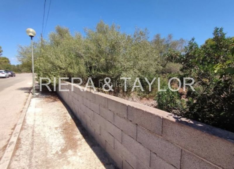 Foto b8b4a7c8-8cc4-483d-a3a3-0cb825472e49. Finca rústica a Sa Ràpita - Ses Covetes Campos