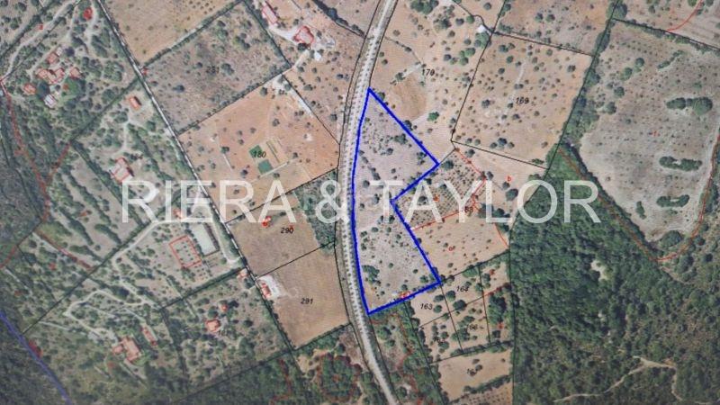 Foto 7c40bd4b-3e2e-43c3-8c65-dbcace8a733e. Rural plot in Son Servera poble Son Servera