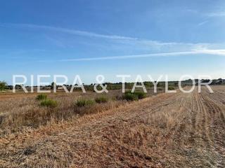 Rural plot in Porreres. Terreno para cultivo cerca de porreres