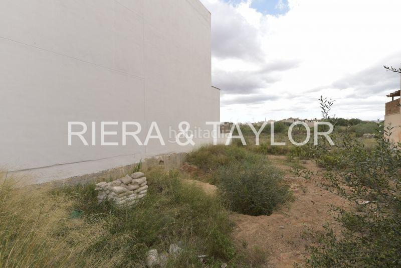 Foto 18cb1764-e828-44d2-a837-40d1b6f3df8b. Fondo rustico in Campos