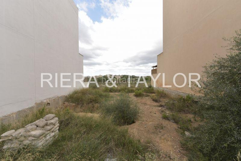 Foto c0218202-26a6-4b7e-9dfc-2702bb0e25e2. Fondo rustico in Campos