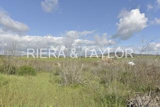 Masia a Vilafranca de Bonany. Terreno rustico con caseta de aperos en villafranca de bonany