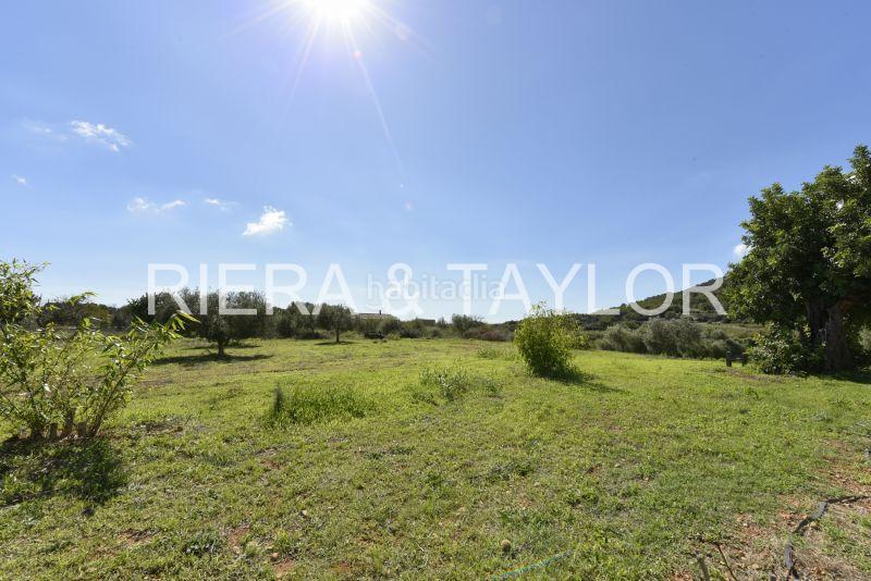 Foto 3a8159c0-4920-4401-96e5-1f5d898e6ea8. Bauernhof in Son Servera poble Son Servera