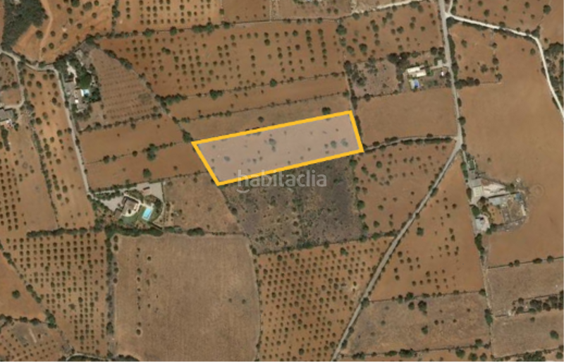 Foto 00a6788c-2570-4184-afad-d861c4d8ae87. Finca rústica a Santanyí poble Santanyí