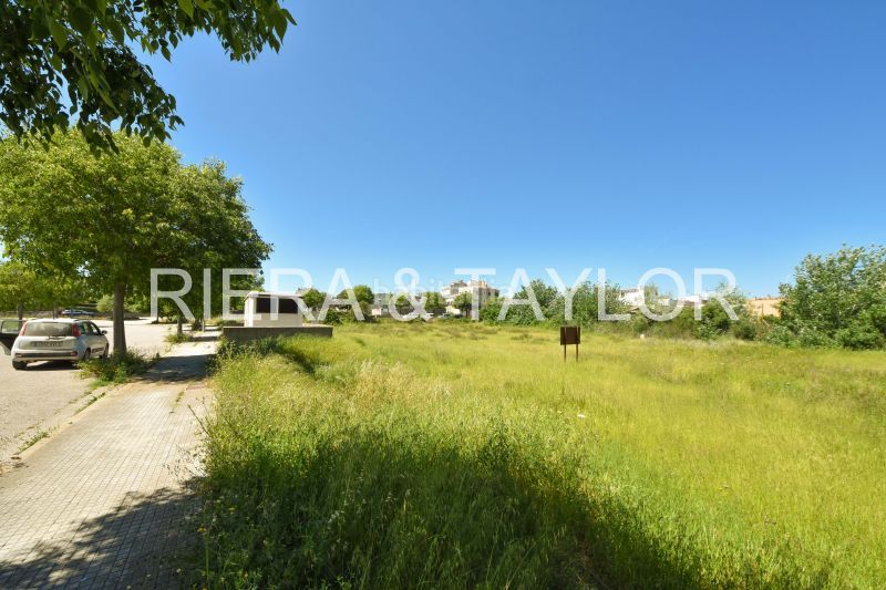 Foto ecaaee3e-5dee-4bbf-ba55-559028fafdef. Finca rústica a Artà poble Artà