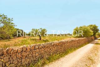Finca rústica a Cales de Mallorca. Terra edificable en cala de mallorca