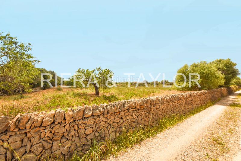 Foto 1277cb43-d1e1-4142-ae2b-a49b71bc12b2. Finca rústica terra edificable en cala de mallorca en Manacor