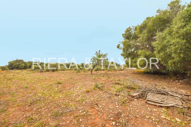 Foto a3c4cf3c-b4f1-4521-829e-dd793de6d308. Finca rústica terra edificable en cala de mallorca en Manacor
