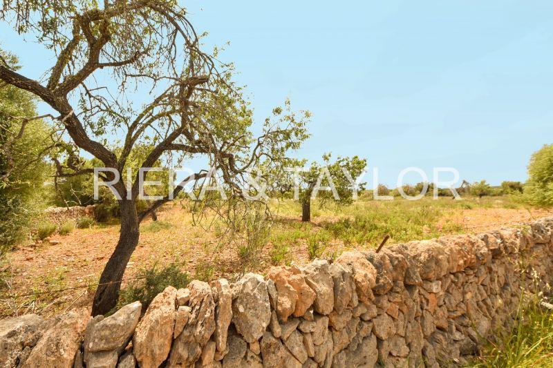 Foto ea37baff-9be9-4636-ba9f-778eaa13c1a5. Finca rústica terra edificable en cala de mallorca en Manacor