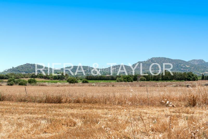 Foto fc7d97b8-d269-4665-8195-f1f9ca8f6034. Casale in Manacor centre Manacor