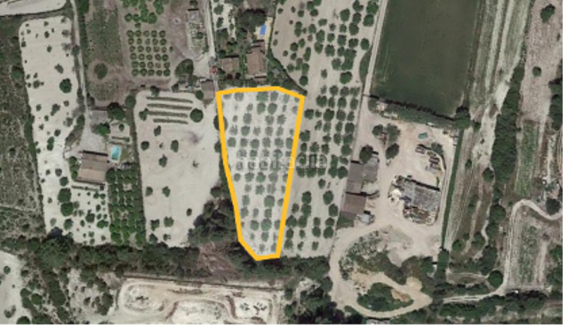 Foto cb3fa6cb-2c44-4c55-a943-b92af9cd0ecc. Propriété dans Sant Joan