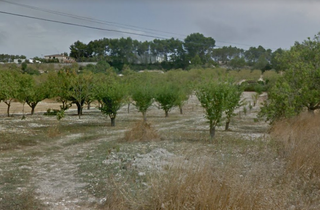 Rural plot in Sant Joan. Terreno cultivable en sant joan