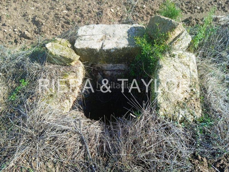 Foto 5bbdb11f-3478-40be-8ded-08dcd3d4aa7f. Finca rústica a Santa Margalida poble Santa Margalida