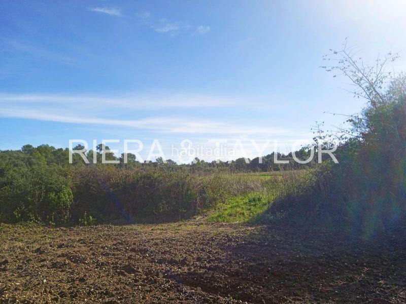 Foto af5f0f90-59b4-4d61-a0ab-fd519cd5e119. Finca rústica a Santa Margalida poble Santa Margalida