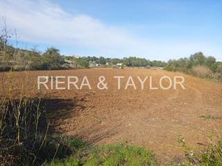 Rural plot in Santa Margalida Poble. Terreno edificable con pozo en santa margalida