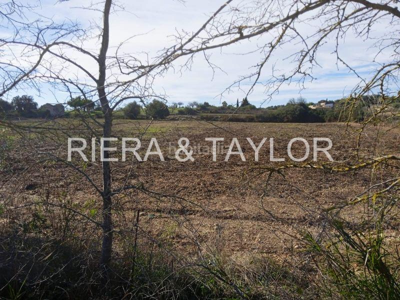 Foto fe137a2b-4503-4df1-8f08-f81f99854e92. Finca rústica a Santa Margalida poble Santa Margalida