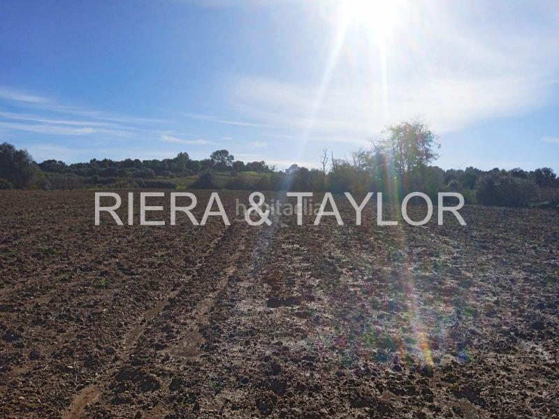 Foto ffb57a19-402c-45aa-ada1-e820d3624f0b. Finca rústica a Santa Margalida poble Santa Margalida