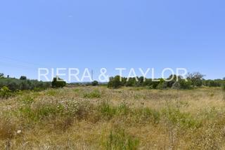 Finca rústica a Manacor Centre. Se vende terreno edificable en manacor
