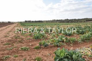 Finca rústica a Manacor Centre