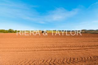 Finca rústica a Manacor Centre. Se vende terreno edificable en manacor