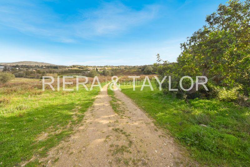 Foto aa4311ac-18c7-4281-b64e-d4a0db9bd58a. Propriété dans Manacor centre Manacor