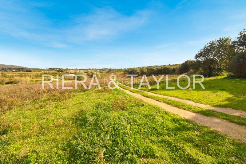 Foto bf27da2d-5b8d-4e70-bbc2-9904c96cb6ef. Propriété dans Manacor centre Manacor