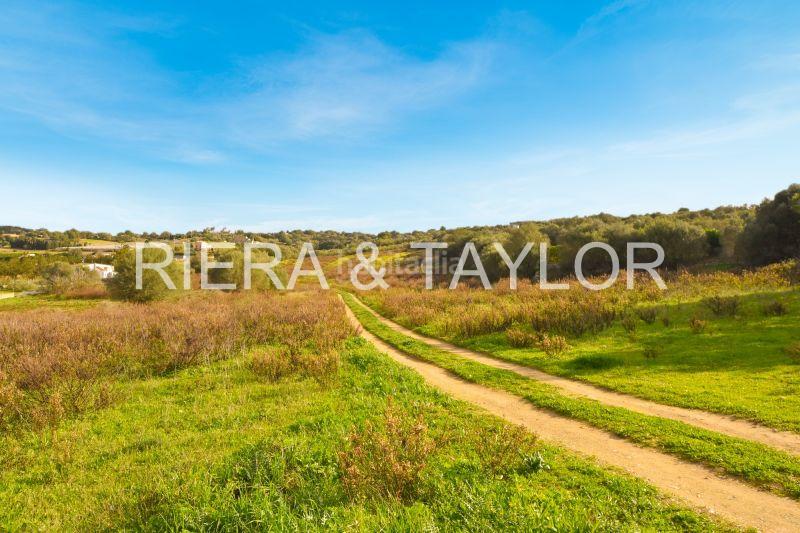 Foto d24b1600-53f1-41c1-831a-ab59b8c9b525. Propriété dans Manacor centre Manacor