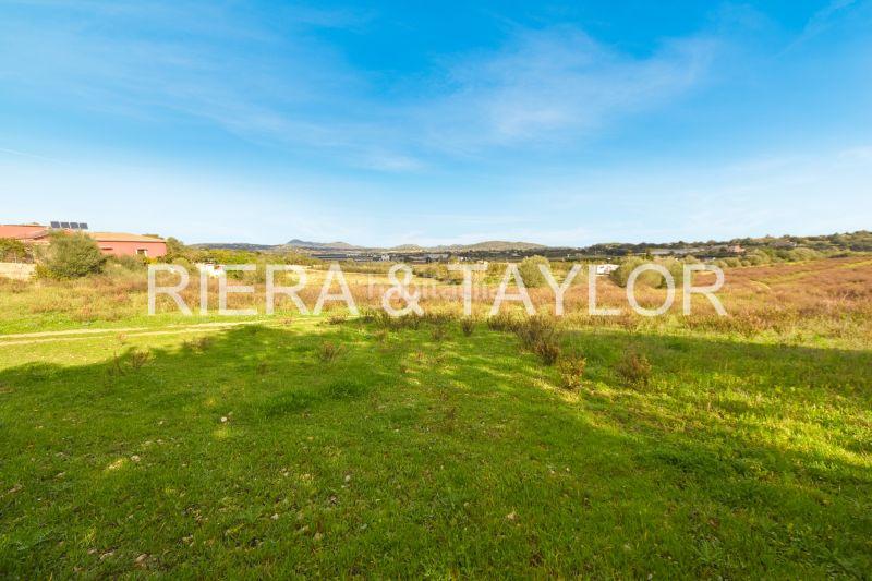 Foto faf9bbab-459c-46b0-b2fd-4b9e8e99939c. Propriété dans Manacor centre Manacor