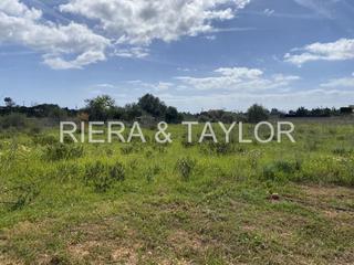 Finca rústica a Porto Cristo. Terreno con proyecto aprobado para construir vivienda unifamilia