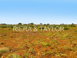 Finca rústica a Porto Cristo. Se vende terreno edificable porto cristo