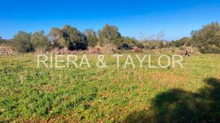 Finca rústica en Manacor Centre. Se vende terreno edificable en manacor